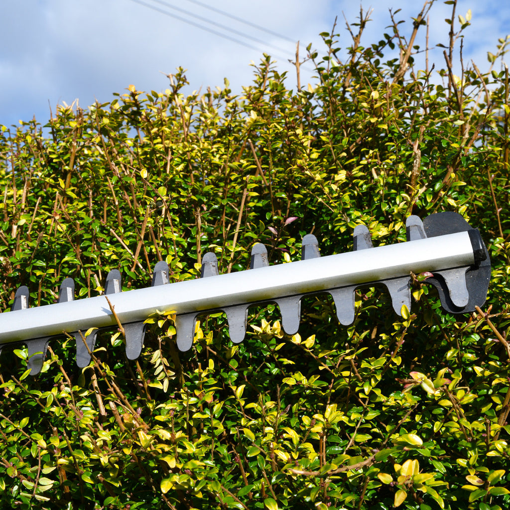 Cobra HT550E Hedge Trimmer